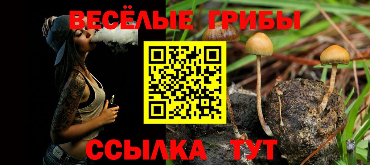 Ульяновск  Галлюциногенные грибы MAGIC MUSHROOMS  Вход с VPN 